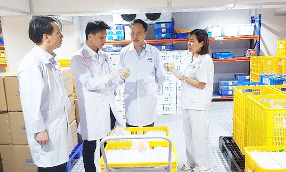 First batch of AVAC ASF LIVE African swine fever vaccine exported to Indonesia